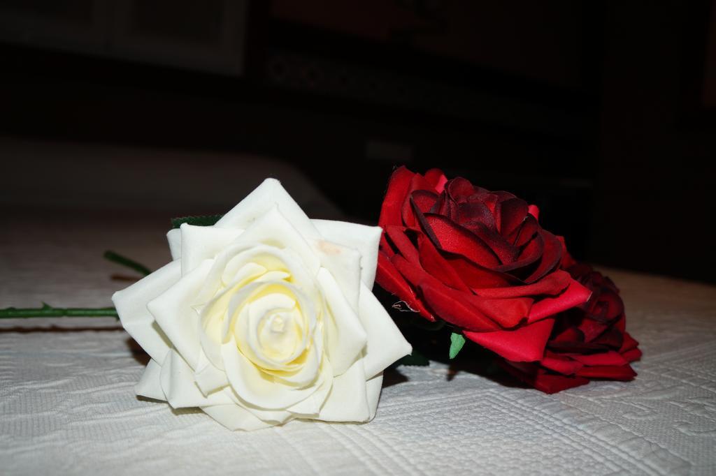 Hostal La Conilena Conil de la Frontera Szoba fotó